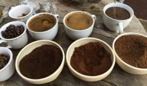 museo del cafe coatepec veracruz