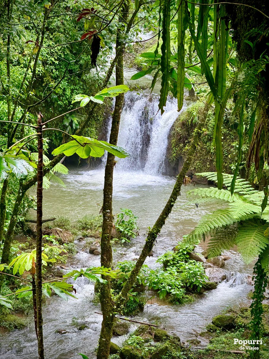 Teziutlán